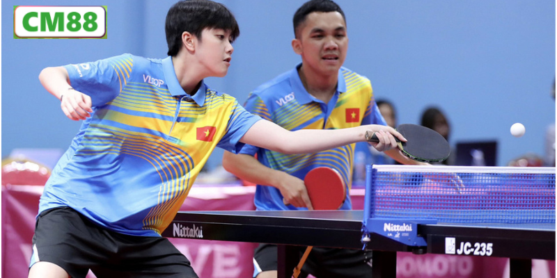 Tổng Quan Về Giải Cá Độ Bóng Bàn